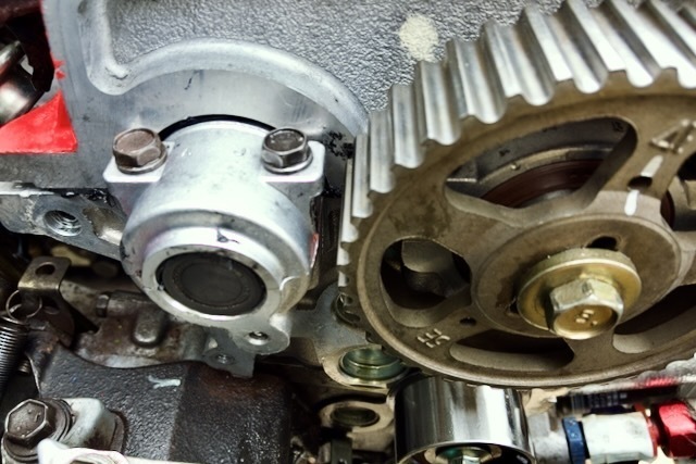_DSC0376.jpeg