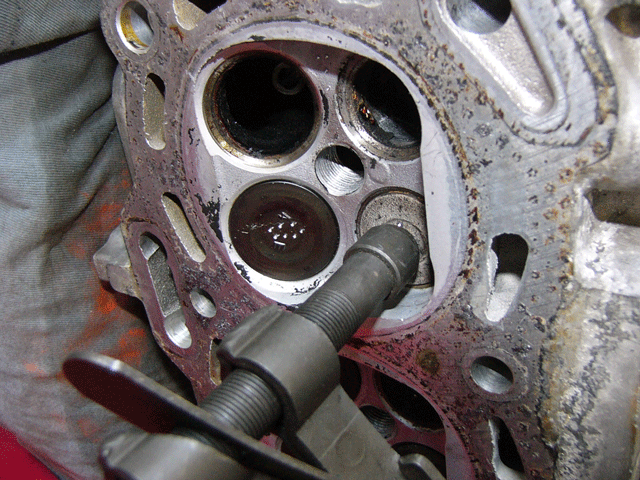 valveate.gif